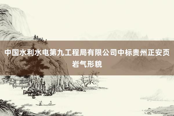 中国水利水电第九工程局有限公司中标贵州正安页岩气形貌