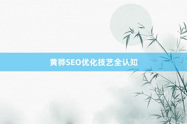 黄骅SEO优化技艺全认知
