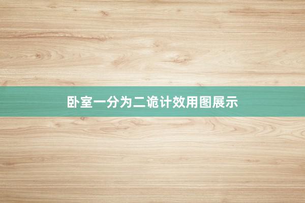 卧室一分为二诡计效用图展示