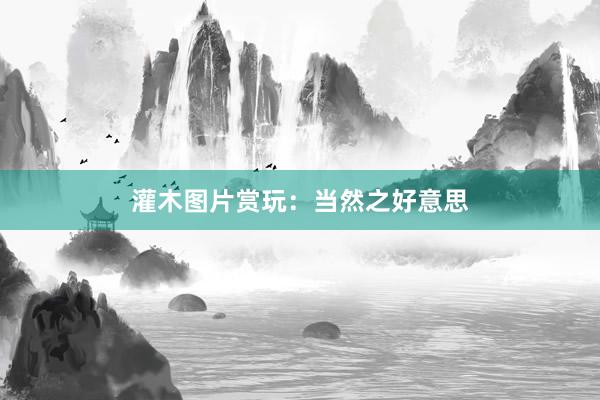 灌木图片赏玩：当然之好意思