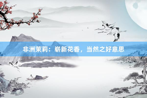 非洲茉莉：崭新花香，当然之好意思