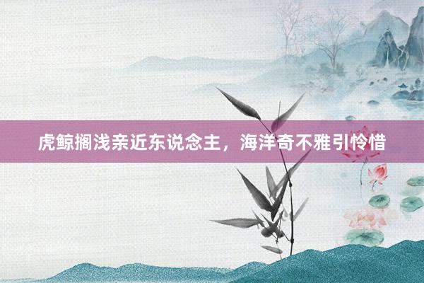 虎鲸搁浅亲近东说念主，海洋奇不雅引怜惜